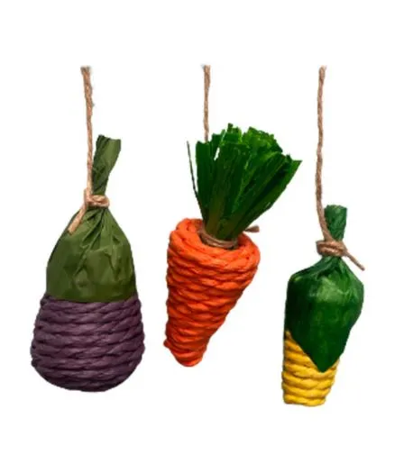 A&E Cage Nibbles Veggie Patch Small Animal Chew Toy (Nibbles Veggie Patch)