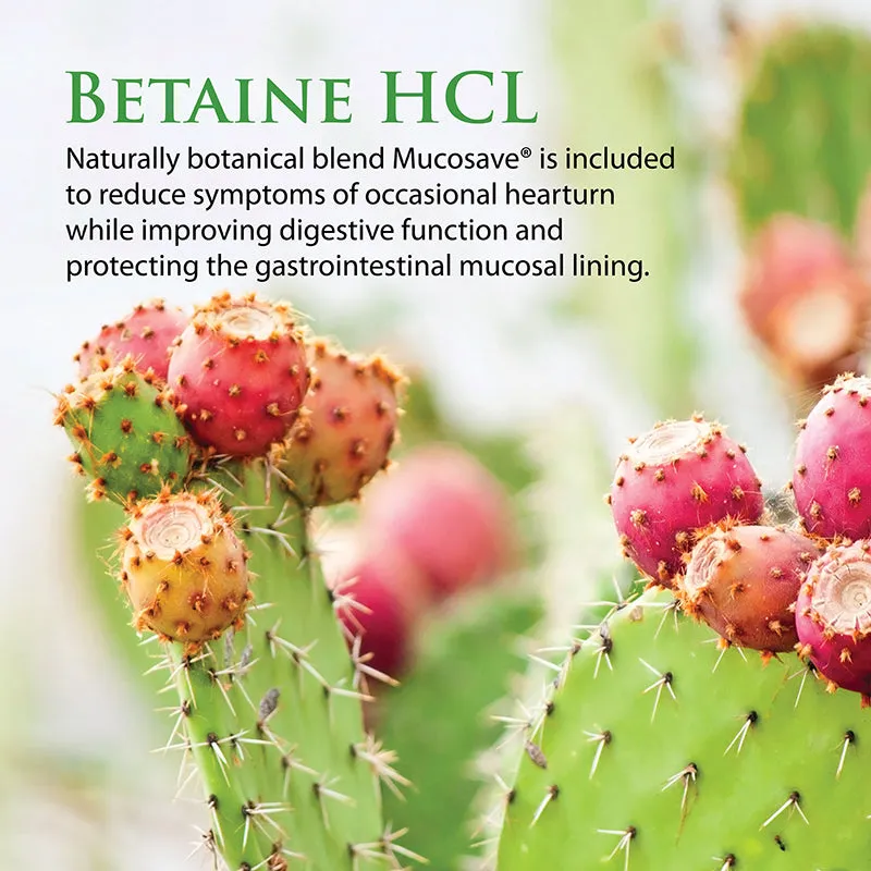 Betaine HCL 