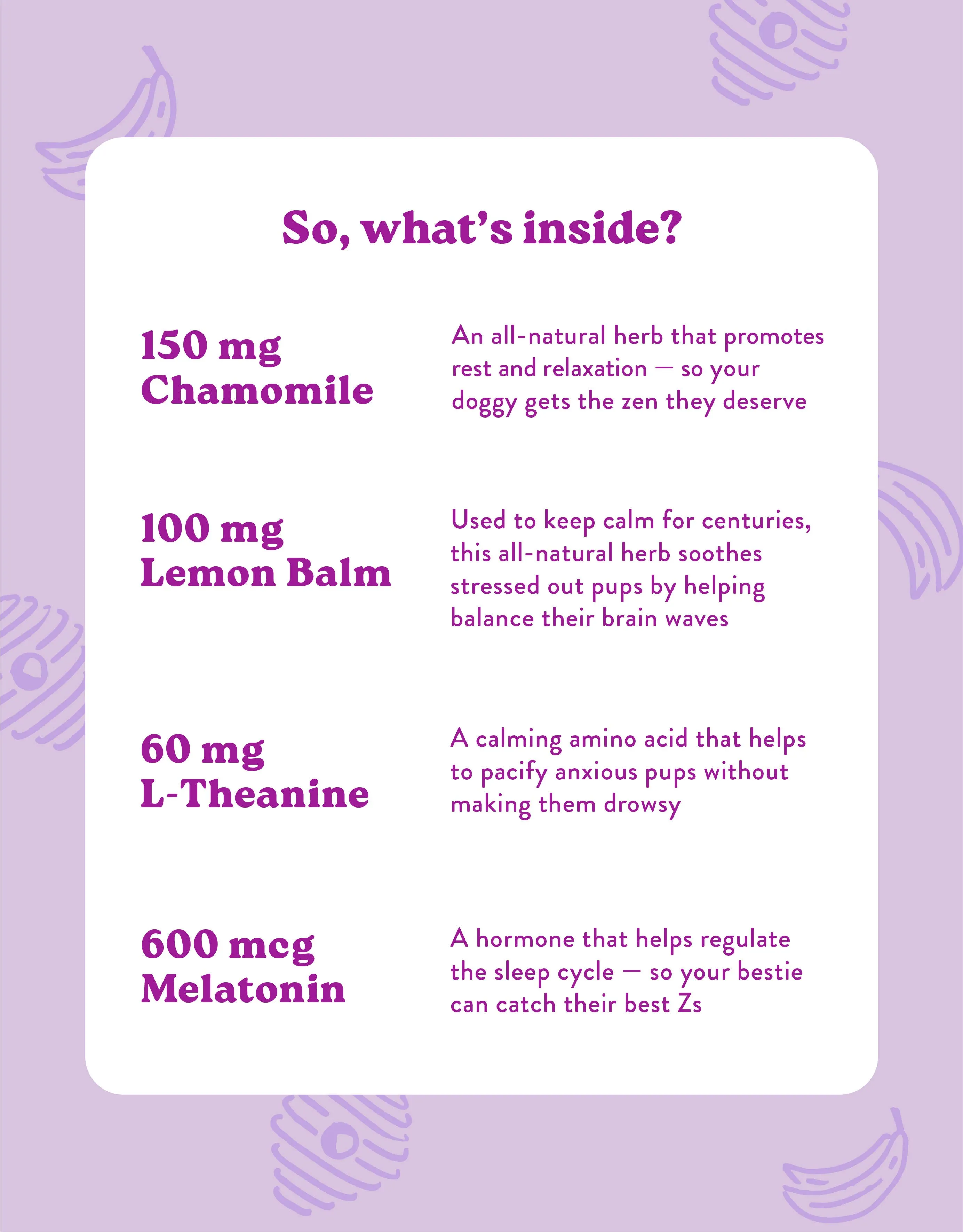 Calming Health Supplement for Dogs