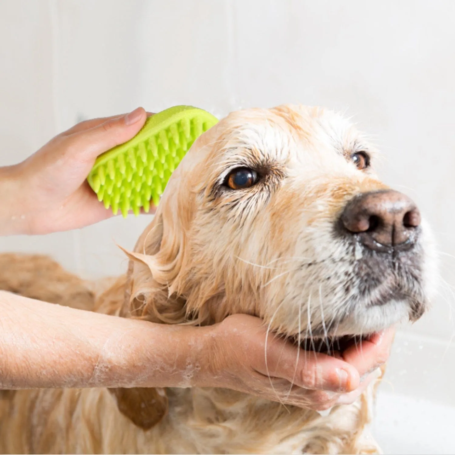 Dog Bath Brush Anti-Skid Pet Grooming Shower Silicone Massage Comb