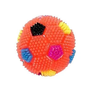Flashing Toy Pet Ball