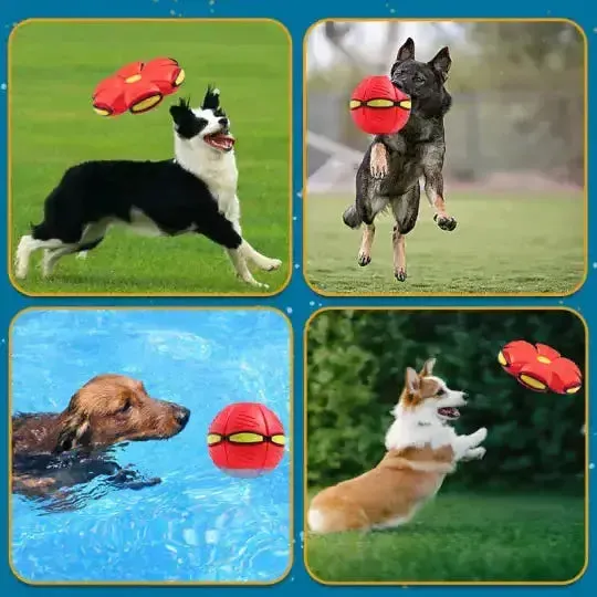 Flying Saucer Ball Pet Toy