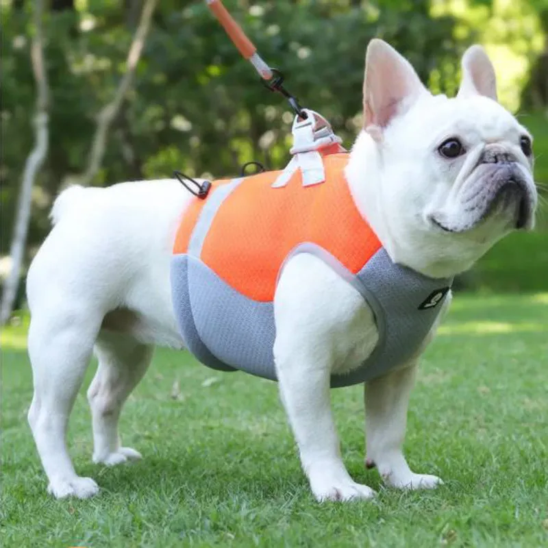 Frenchie Summer Reflective Cooling Vest