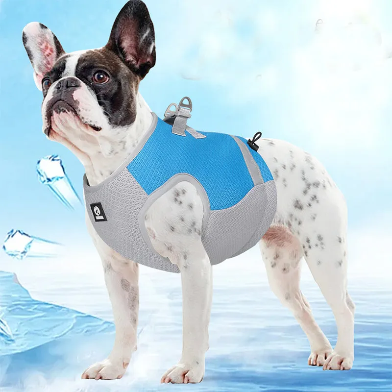Frenchie Summer Reflective Cooling Vest