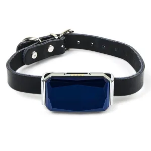 GPS Tracker