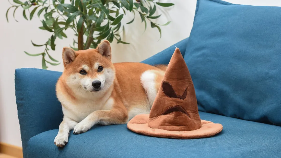 Harry Potter: 10" House Sorting Hat Burrow Pet Toy