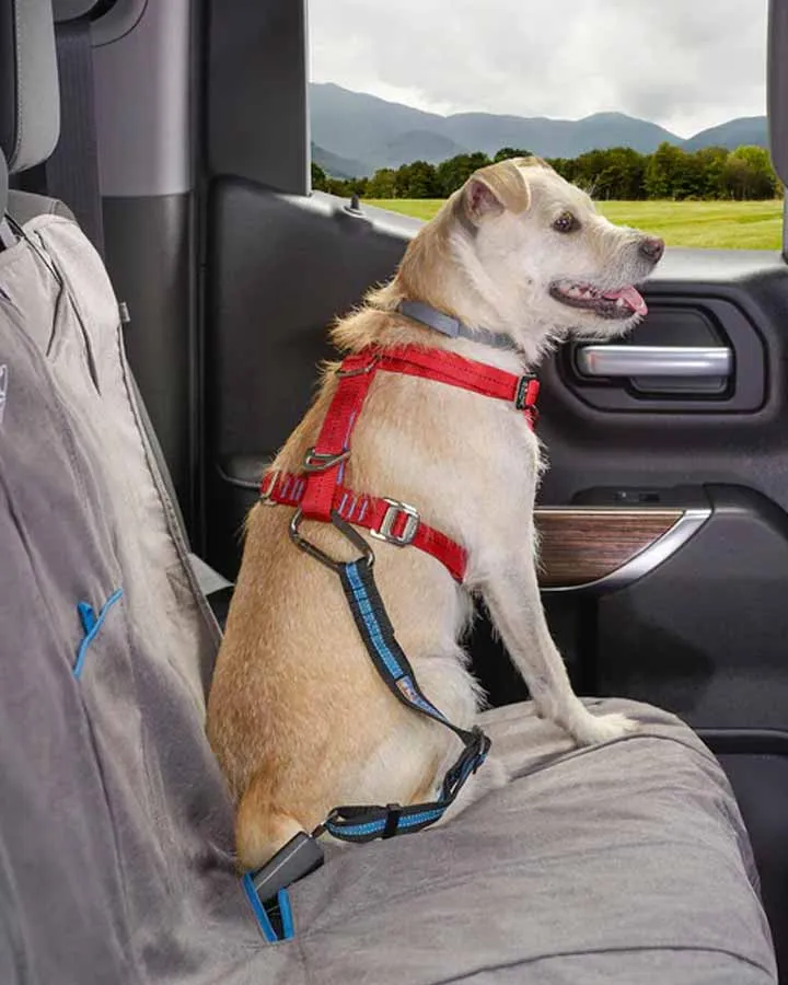 Kurgo Direct to Seatbelt Tether