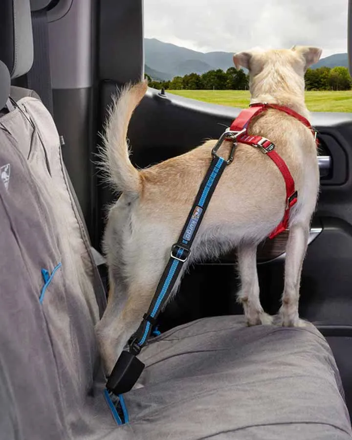 Kurgo Direct to Seatbelt Tether