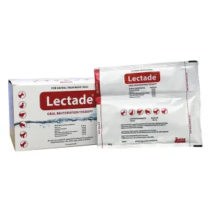 Lectade Oral Rehydrate Sachet
