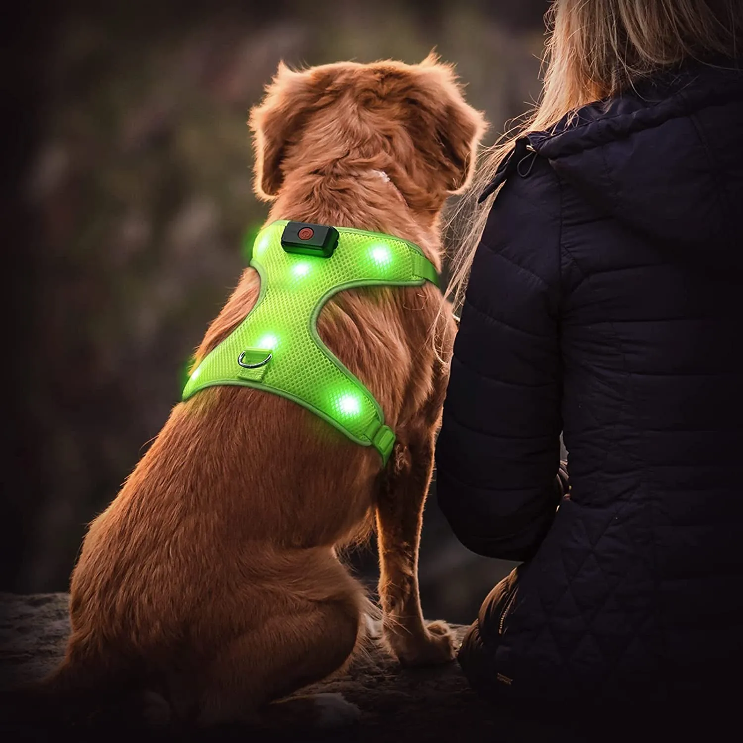 LED Pet Harness