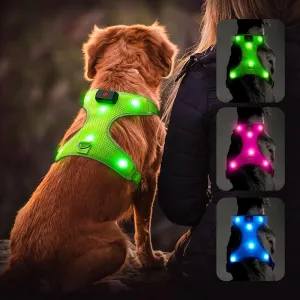 LED Pet Harness