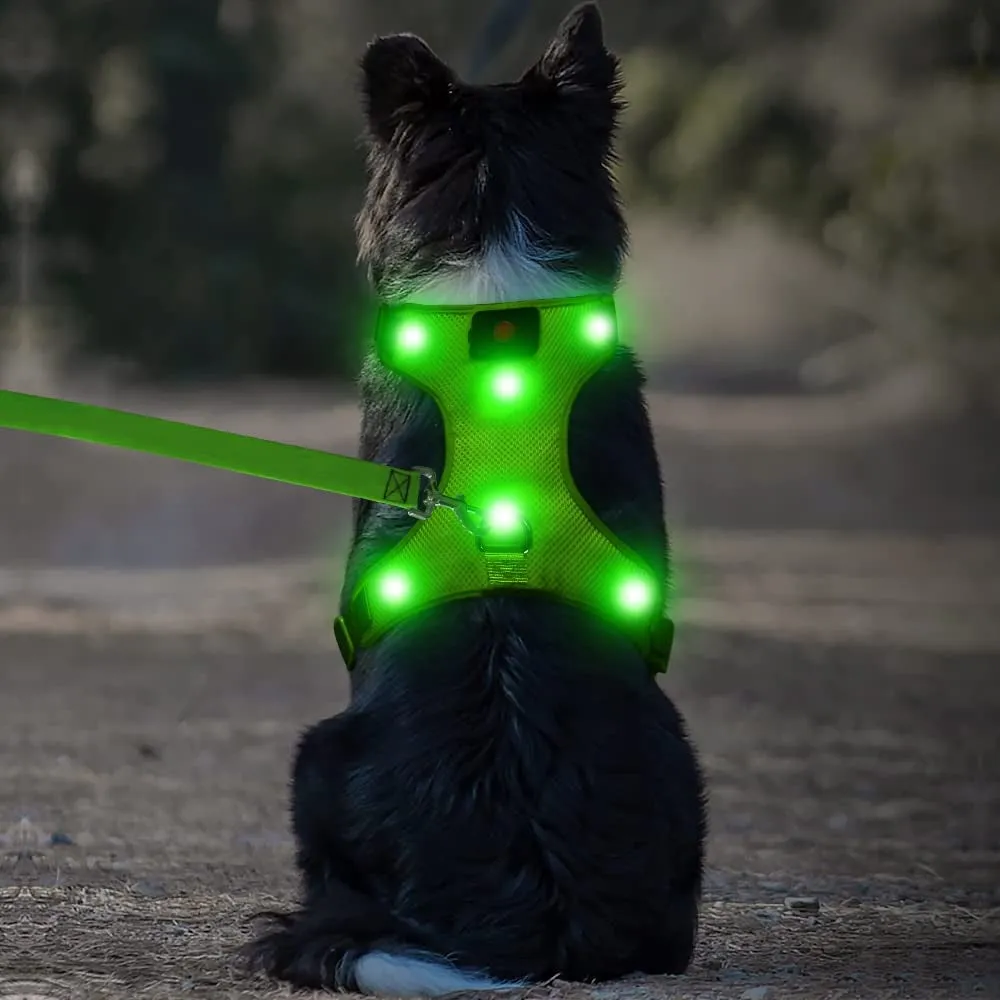LED Pet Harness