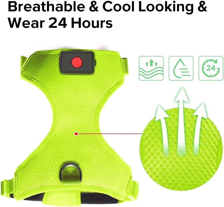 LED Pet Harness