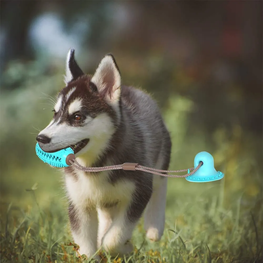 Pet Dog Toys Silicon Suction Cup Tug dog toy Dogs Push Ball Toy Pet