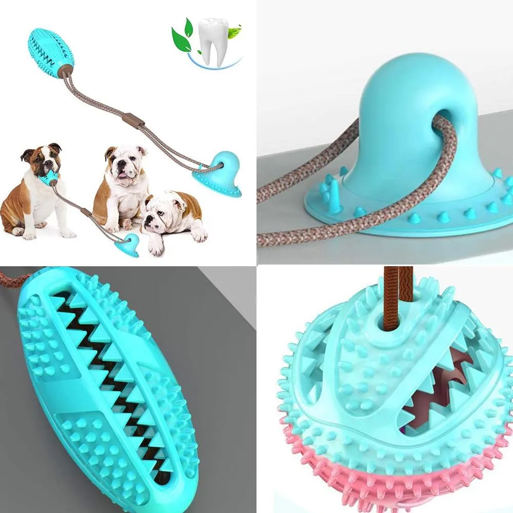 Pet Dog Toys Silicon Suction Cup Tug dog toy Dogs Push Ball Toy Pet