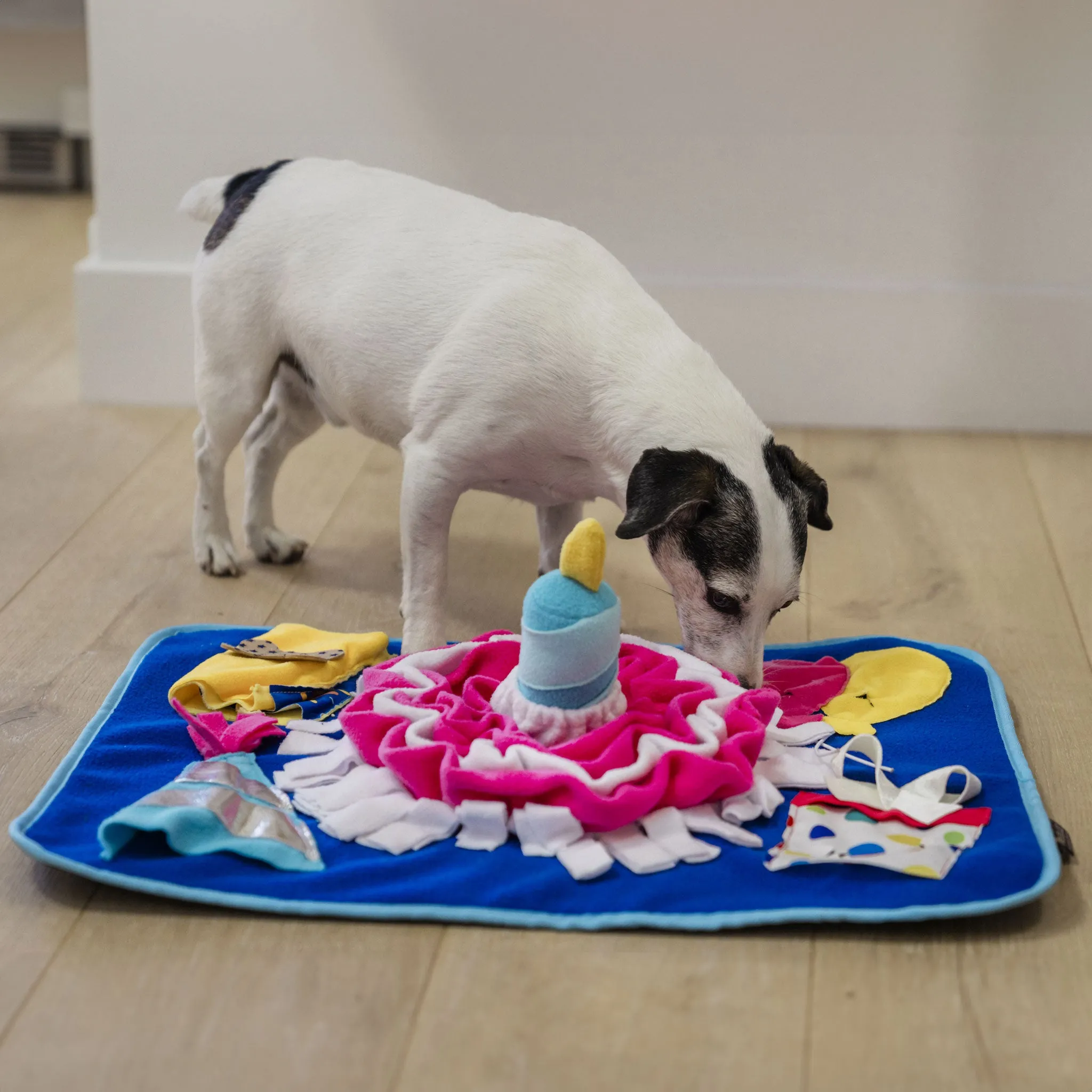 P.L.A.Y. Celebration Snuffle Mat
