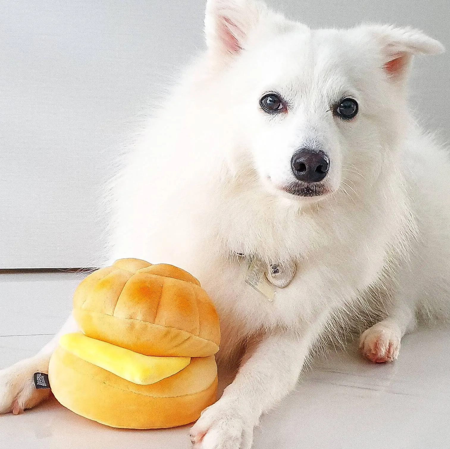 (Premium) Hong Kong Bolo Bun Squeaker Chew Toy for Pet Dogs
