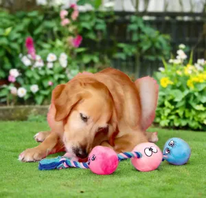 Scruffy Pet Toys -  Tug Buttons Anal Balls
