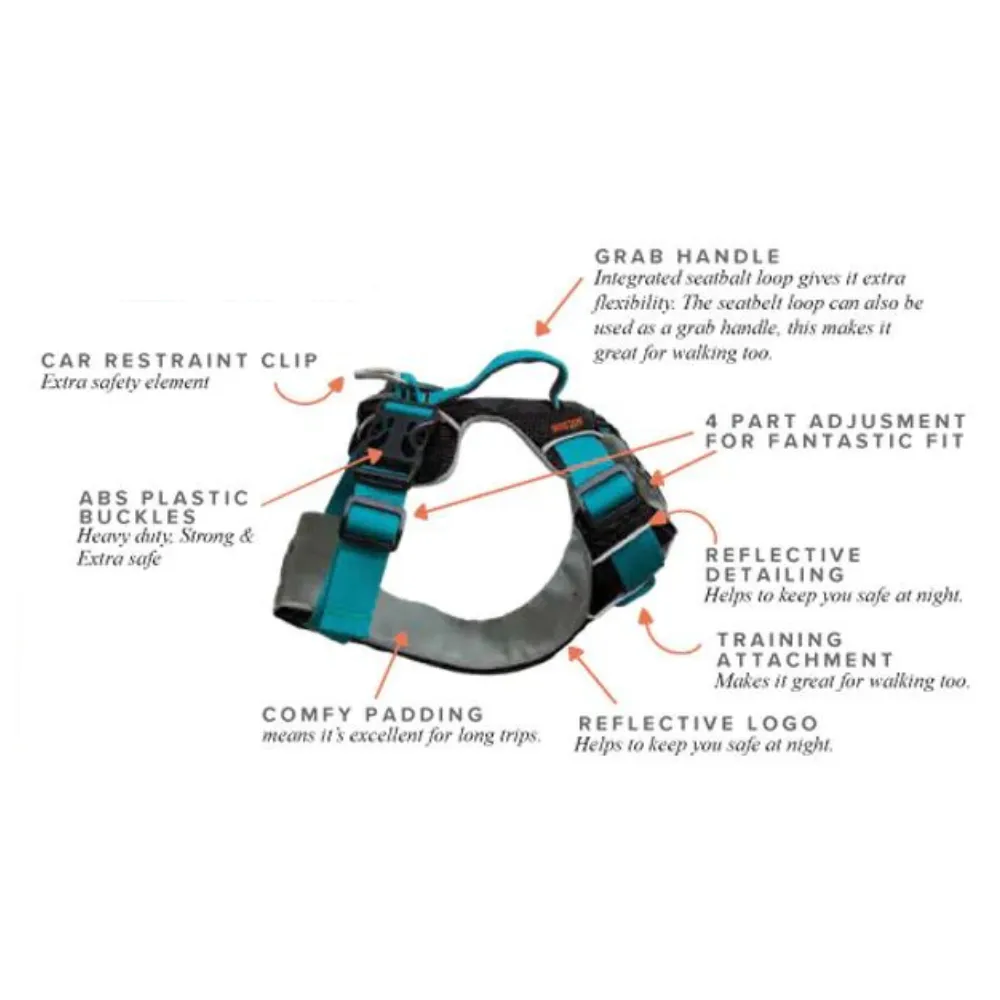 Sotnos Triple Safety Harness - Pink