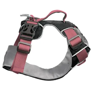 Sotnos Triple Safety Harness - Pink