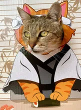 Sushi Funbox Cat Toy from DoyenCat