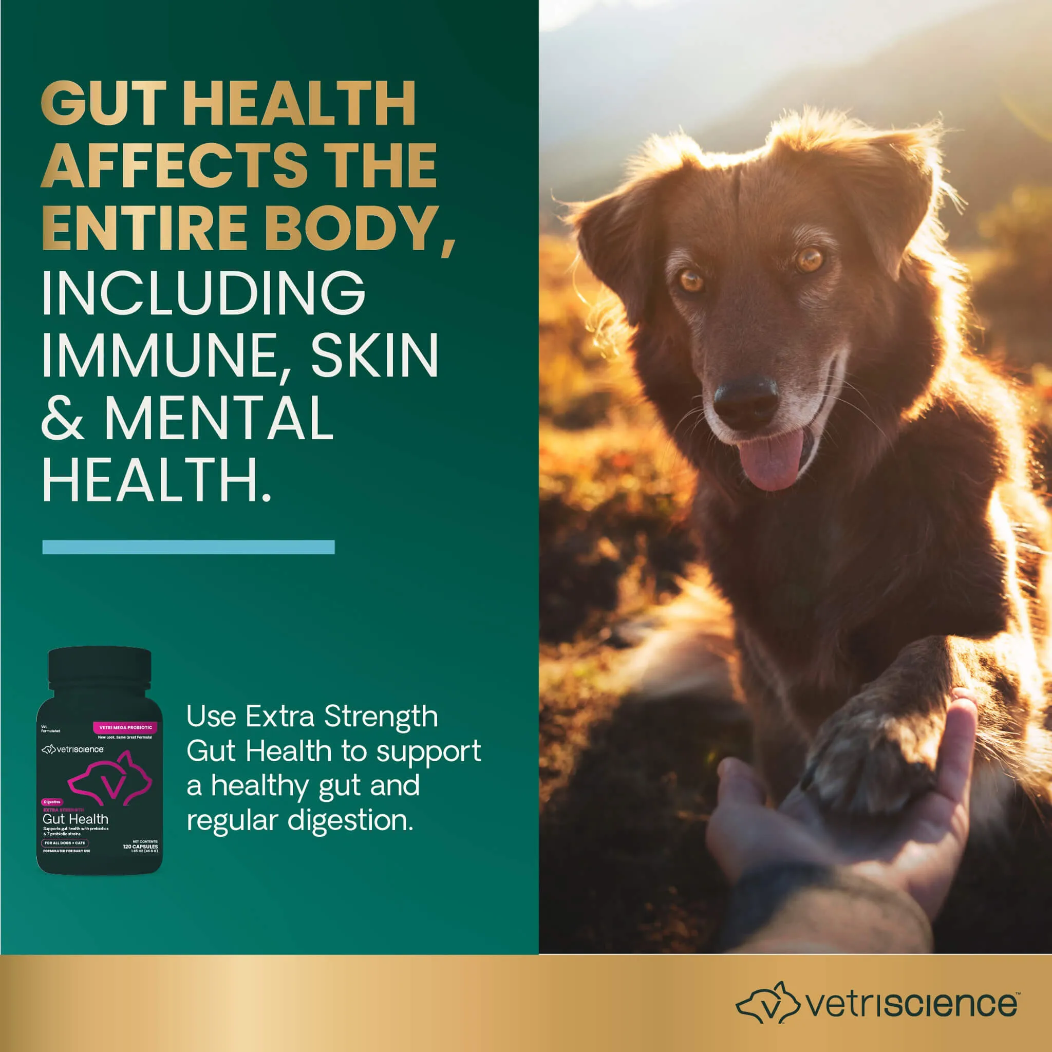 VetriScience Extra Strength Gut Health Dog & Cat Supplement