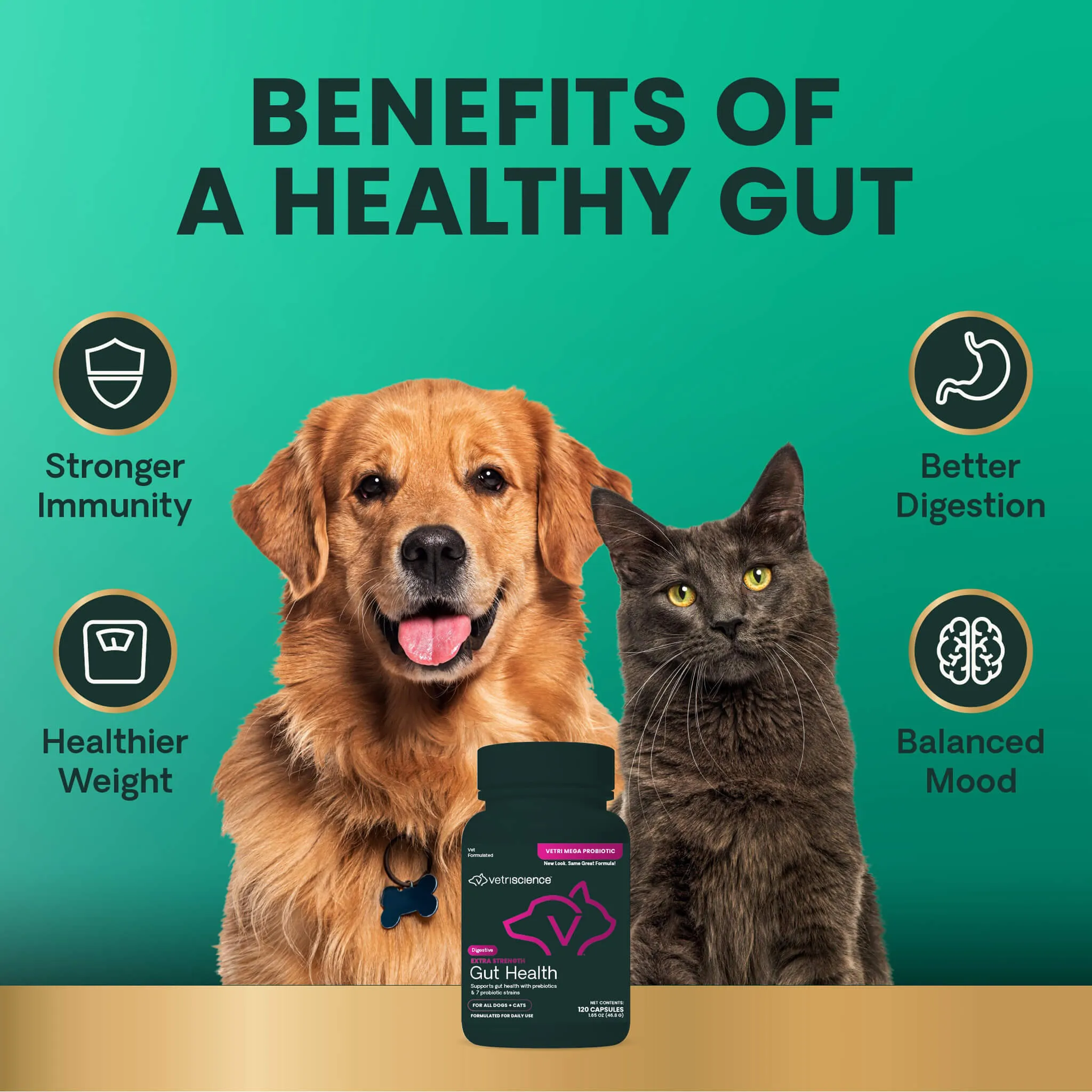 VetriScience Extra Strength Gut Health Dog & Cat Supplement